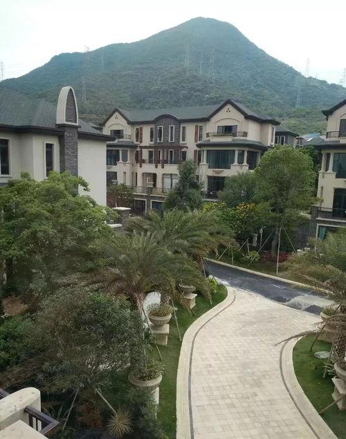 娱乐718吃瓜最新地址,独家地址大公开！